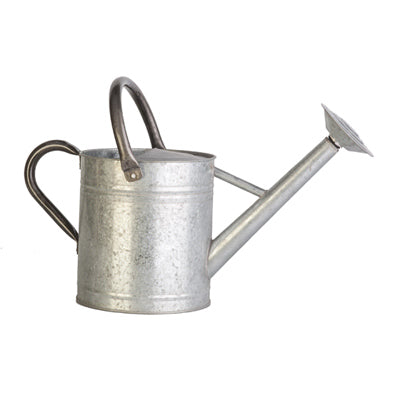 Watering Can, Distressed Galvanized Finish, 1-Gallon