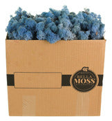 Syndicate Sales Inc 1404-01-1085 3 Lbs Lavender Blue Spongy Reindeer Moss