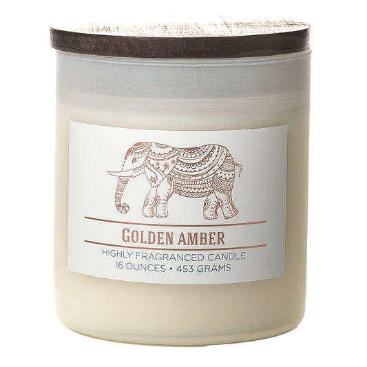 Colonial Candle White Golden Amber Scent Jar Candle 4.5 in.   H X 3.75 in.   D 16 oz (Pack of 4)