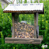 Lyric  Supreme  Assorted Species  Wild Bird Food  Sunflower Seeds  40 lb.