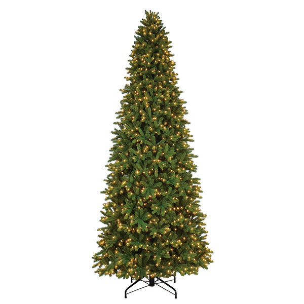 Celebrations 12 ft. Full Incandescent 1500 ct Grand Fir Christmas Tree