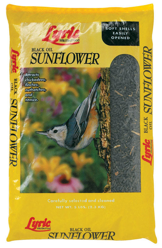 Lyric  Assorted Species  Wild Bird Food  Black Oil Sunflower Seed  10 lb.