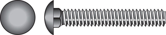 Hillman 1/4 in. X 3/4 in. L Stainless Steel Carriage Bolt 50 pk