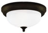 Westinghouse 13 in. W X 13 in. L Ceiling Light