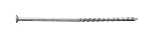 Pro-Fit 6 in. Galvanized Nail 5 lb