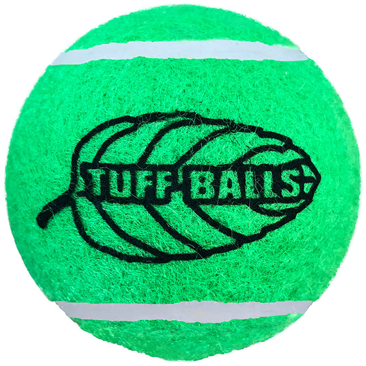 Petsport Tuff Balls Green Mint Polyster/Rubber Tennis Balls 2 pk