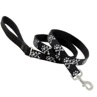 Lupine Pet Original Designs Multicolor Bling Bonz Nylon Dog Leash