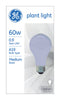 Bulb-Plant 60A/Pl Ge (Pack Of 6)