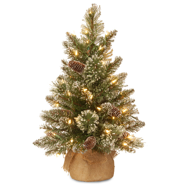 TREE GLTR BRSTL PN WW 2'