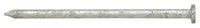 Stallion  6D  2 in. Common  Hot-Dipped Galvanized  Steel  Nail  Flat  5 lb. (Pack of 6)