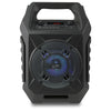 iLive Wireless Bluetooth Portable Speaker