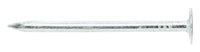 Stallion  1-1/2 in. Roofing  Electro-Galvanized  Steel  Nail  Flat  1 lb. (Pack of 12).