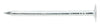 Stallion  1-1/2 in. Roofing  Electro-Galvanized  Steel  Nail  Flat  1 lb. (Pack of 12).