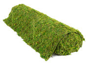 Syndicate Sales Inc 1272-01-070 3' X 24 Preserved Moss Mat