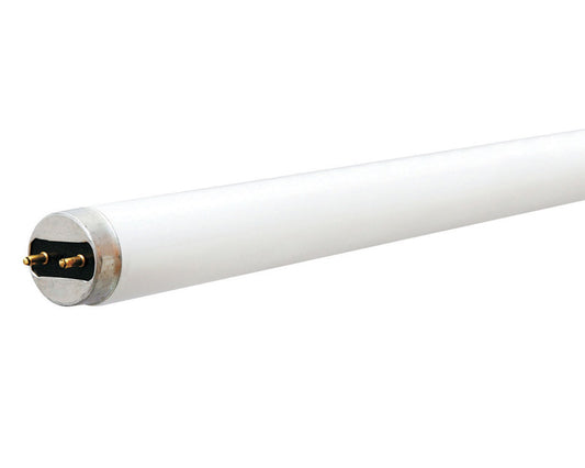 GE Lighting Starcoat 11 watts T8 60 in. L Fluorescent Bulb Cool White Linear 4100 K 1 pk (Pack of 24)