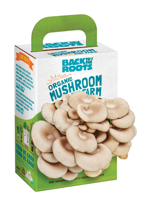 Back to the Roots All Season Fresh Windowsill Garden Organic Mushroom Mini Farm