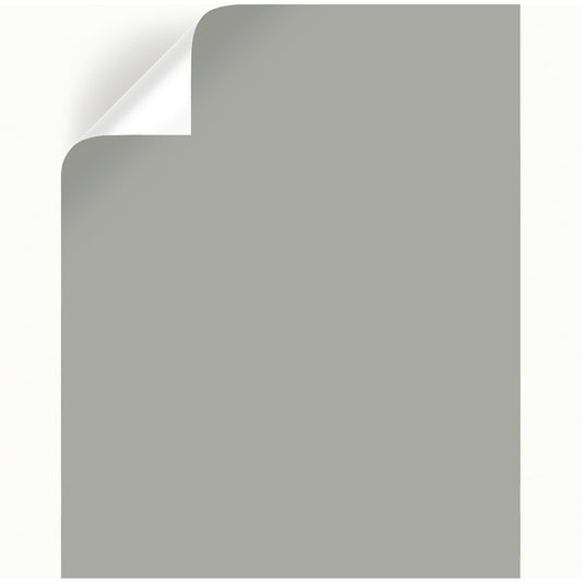 Magnolia Home by Joanna Gaines Weathered Windmill Peel & Stick Color Sample (Pack of 25)