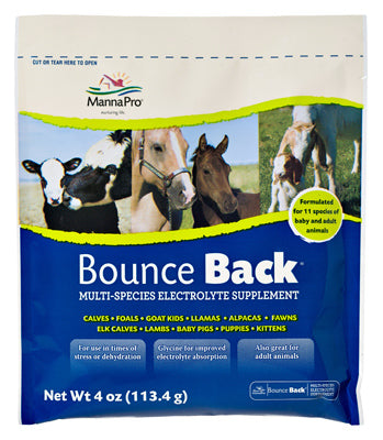 Bounce-Back Electrolyte Supplement For Livestock, 4-oz.