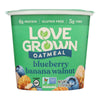 Love Grown Foods Hot Oats - Blueberry Banana and Walnut - Case of 8 - 2.22 oz.