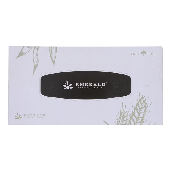 Emerald Brand - Pañuelos faciales de 2 capas, paquete de 30, 1 unidad (paquete de 30)