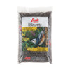 Lyric  Assorted Species  Wild Bird Food  Black Oil Sunflower Seed  5 lb.