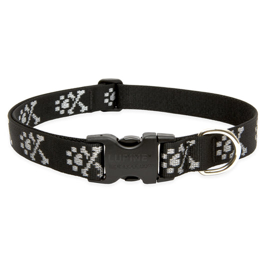 Lupine Pet Original Designs Multicolor Bling Bonz Nylon Dog Adjustable Collar