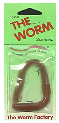 Fishing Lure, Natural Worm, 6-In.