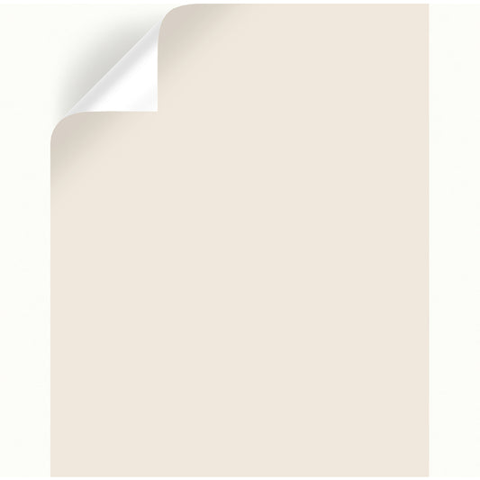 Magnolia Home by Joanna Gaines Antique Rose Peel & Stick Color Sample (Pack of 25)