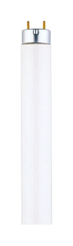 Westinghouse 25 watt T8 48 in. L Fluorescent Bulb Cool White Linear 4100 K 1 pk (Pack of 25)