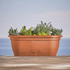 Bloem Llc Lwb1846 18 Terra Cotta Lucca Plastic Window Box (Pack of 6)