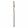 Brazos Walking Sticks Free-Form Sassafras Cane Wood 1 pk