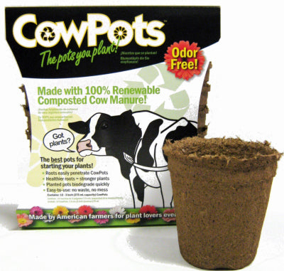 CowPots 3.37 in. H X 3.25 in. W X 2.25 in. L Plant Pot Seed Starter 12 pk (Pack of 12)