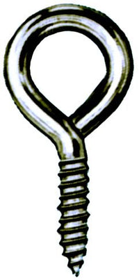 Hindley 44356 5/16 X 4 Stainless Steel Lag Eye Bolt Screw Thread (Pack of 10)