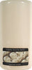 Candle lite 2846570 4" Vanilla Scented Pillar Candle (Pack of 2)
