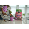 Miracle-Gro Orchid Potting Mix 8 qt (Pack of 6)