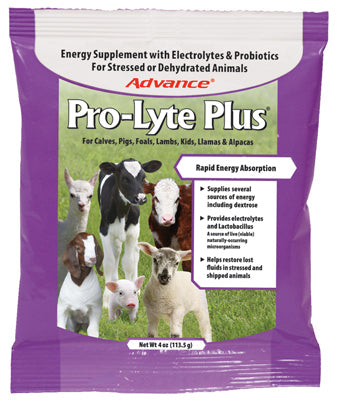 Pro-Lyte Plus Livestock Electrolyte Supplement, 4-oz.