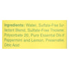 Rebel Green Dish Soap - Peppermint and Lemon - Deluxe - Case of 4 - 16 fl oz