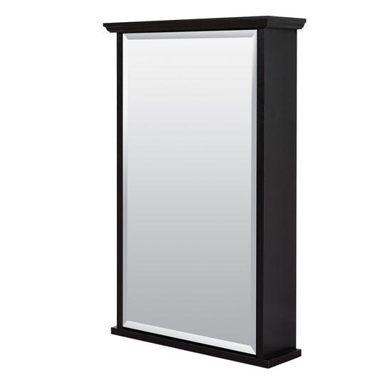 Zenith Products 25 in. H X 16 in. W X 4.63 in. D Rectangle Medicine Cabinet/Mirror