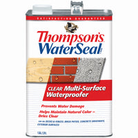 Multi-Surface Water Sealer, Clear, Gallon