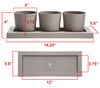 Bloem Casper 4 in.   H X 14 in.   W X 4 in.   D Plastic Trio Flight Planter White