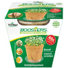 PlantBest Boosters Microgreens Broccoli Grow Kit 1 pk