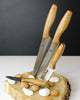 Magwood 4 Pieces Wooden Handle Knife Set