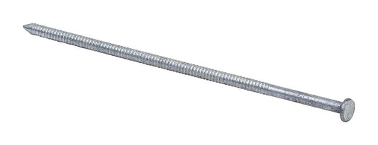 Grip-Rite  40D  5 in. Pole Barn  Hot-Dipped Galvanized  Steel  Nail  Flat  30 lb.