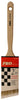 PXpro 2 in. Angle Paint Brush