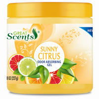 Odor Absorbing Gel, Citrus Fresh, 10-oz. (Pack of 12)