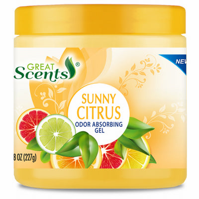 Odor Absorbing Gel, Citrus Fresh, 10-oz. (Pack of 12)