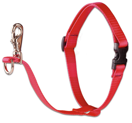 Lupine Collars & Leads 22598 1" X 24-38" Red No Pull Harness