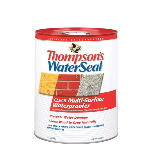 Thompson's Waterseal Clear Low VOC Water-Based Multi-Surface Waterproofer 5 gal.
