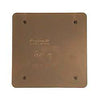 Carlon Lamson & Sessons E9802CN-CAR Two Gang Blank Box Covers                                                                                         