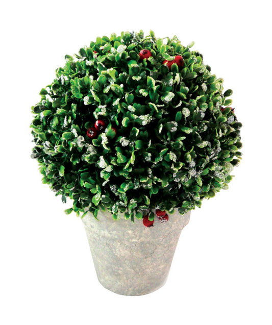 Celebrations Boxwood Topiary Ball Christmas Decoration Multicolored Plastic (Pack of 6)